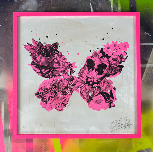 Botanical Butterfly (pink frame)