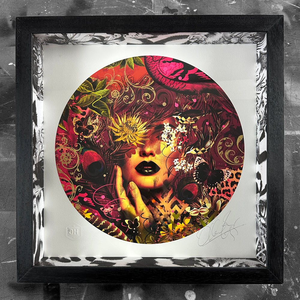 Exotica (deep custom frame)