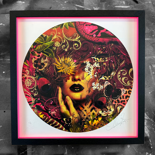 Exotica (slim frames)