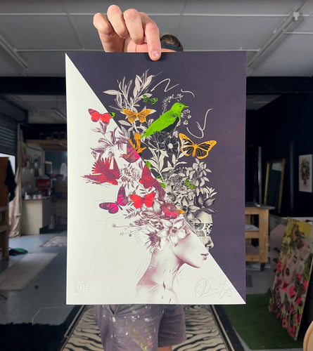 Lady Monarch (split A3)