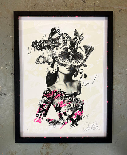 Lady Divine (custom frame)
