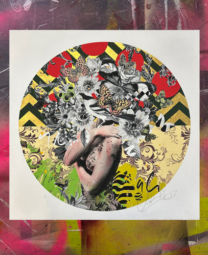 Migrations v2 (24ct Gold) & Kingdom