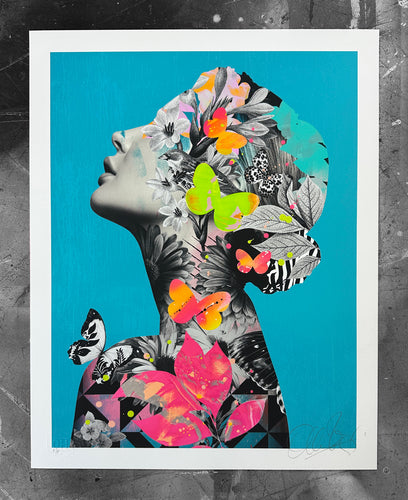 Reflections v2 (flawed)